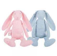 Load image into Gallery viewer, Bunny, Monogram, Hospital Door, Lovie, Rabbie
